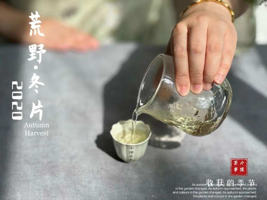 苍松滴露，翠柏含香，《金砖》这个名字，能配得上荒野冬片砖吗？