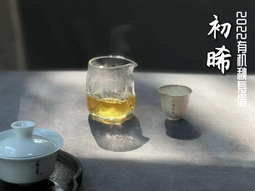 隔夜的白茶舍不得扔，到底能不能继续喝？拿去煮茶行吗？