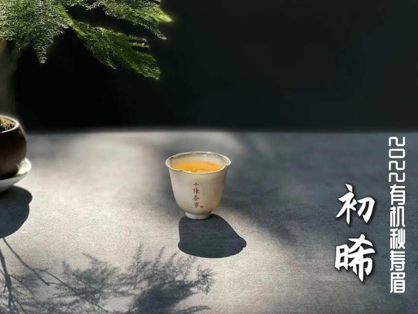 隔夜的白茶舍不得扔，到底能不能继续喝？拿去煮茶行吗？