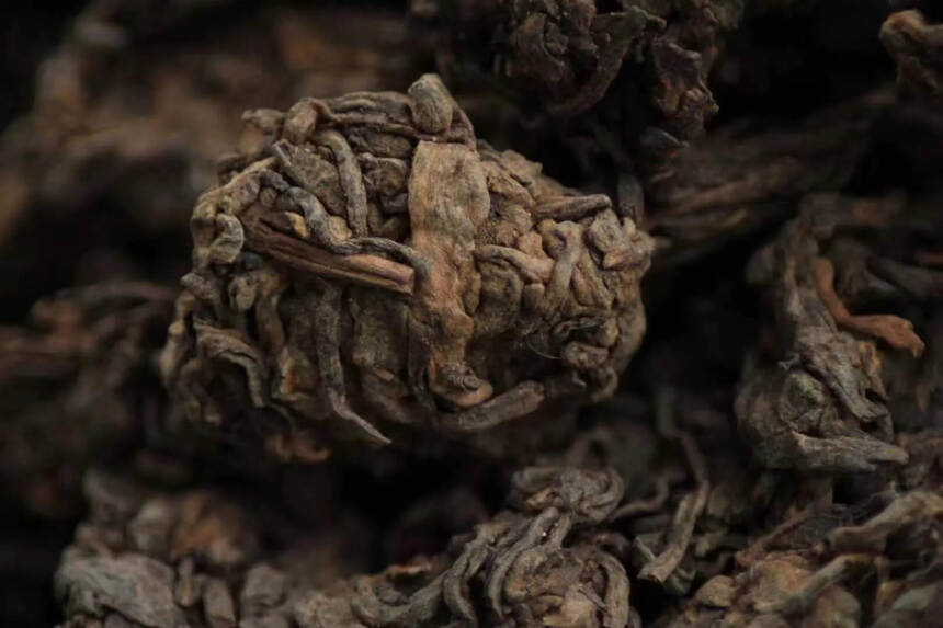 2009年勐海荷香老茶头条索雄浑有力。 整个茶透出的
