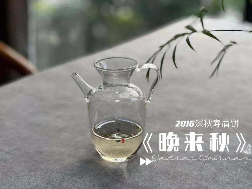 老白茶的药香，是一股人参的味道？喝起来像苦中药？辟谣来了