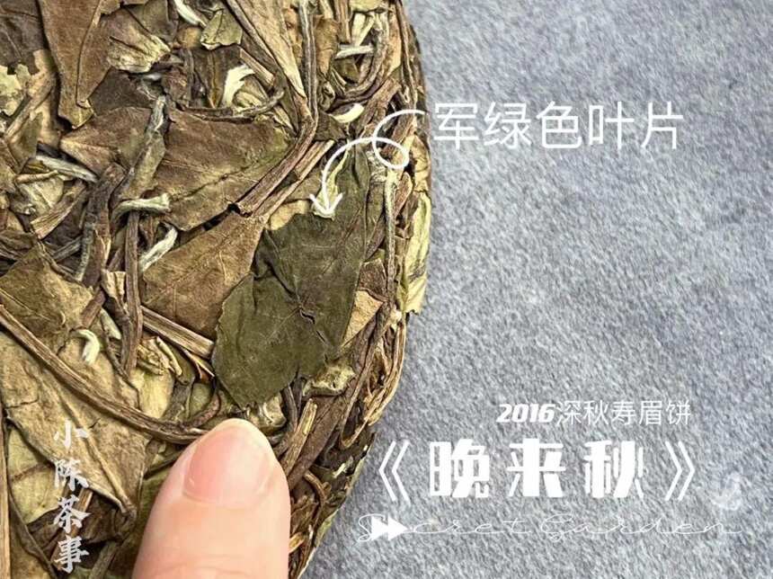 老白茶的药香，是一股人参的味道？喝起来像苦中药？辟谣来了