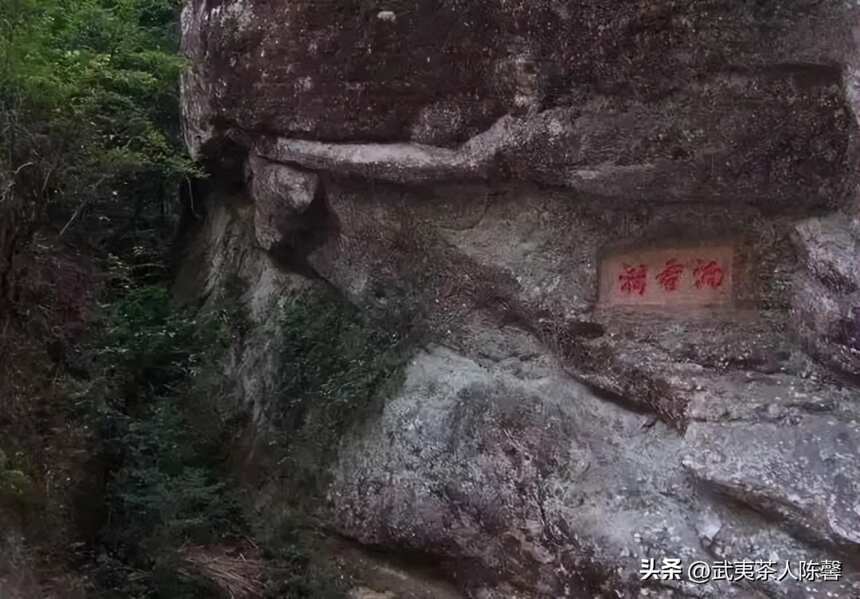 细数武夷山著名的十大山场和品种你知多少？（2）