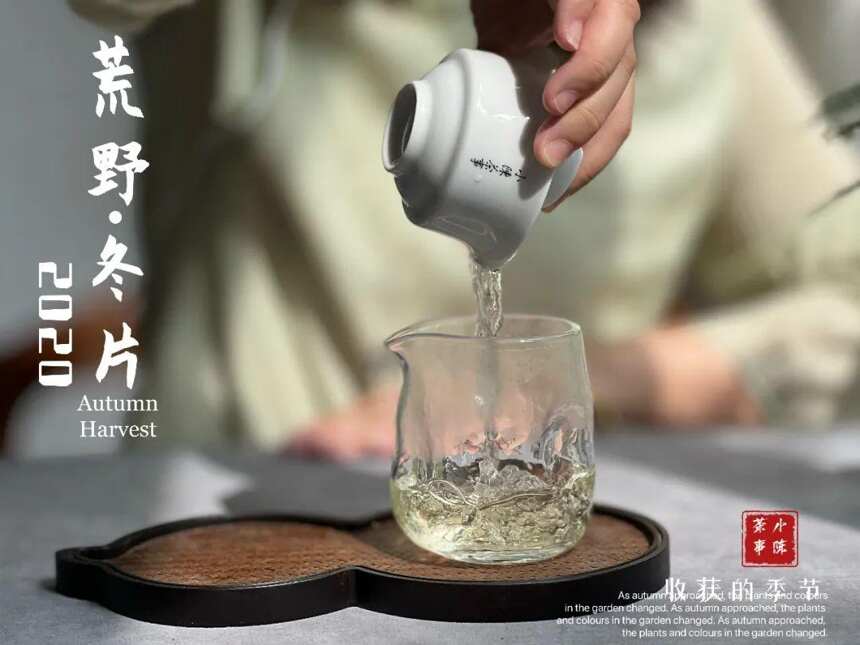 苍松滴露，翠柏含香，《金砖》这个名字，能配得上荒野冬片砖吗？