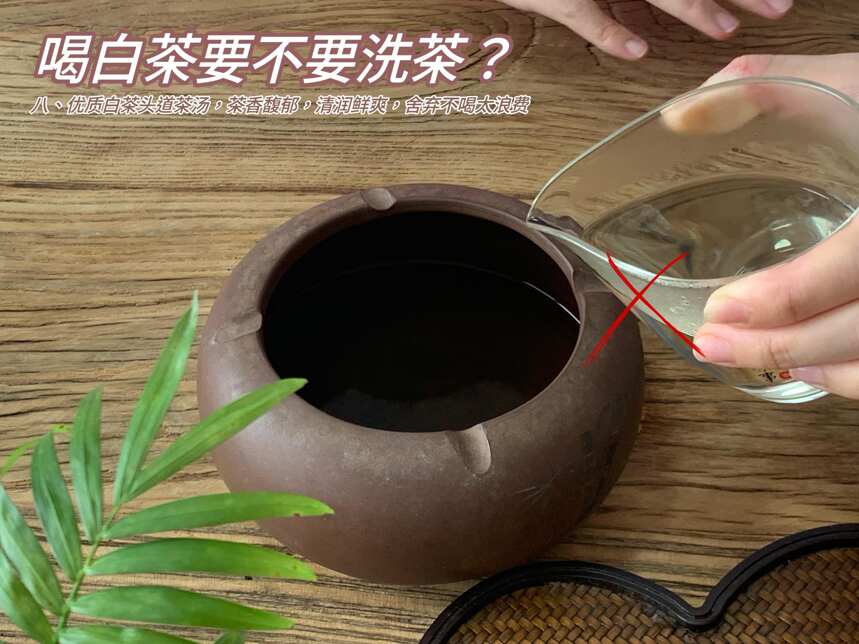 盖碗泡茶，需要高冲注水、刮茶、洗茶吗？一次性跟你说清楚