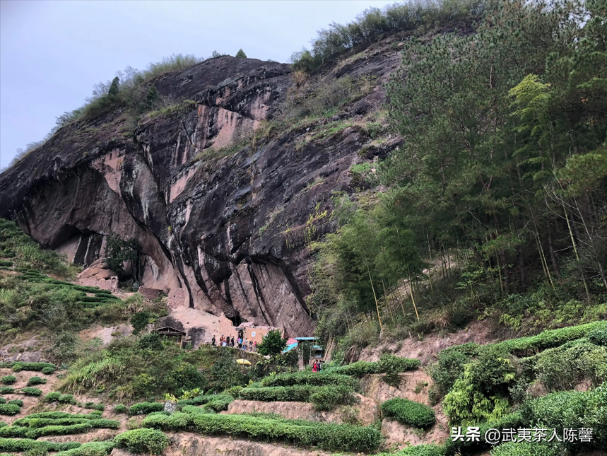 细数武夷山著名的十大山场和品种你知多少？（2）