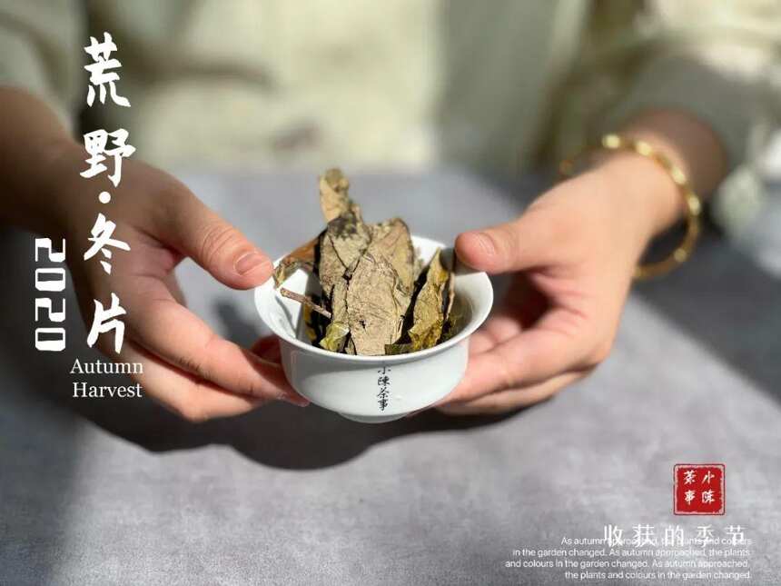 苍松滴露，翠柏含香，《金砖》这个名字，能配得上荒野冬片砖吗？