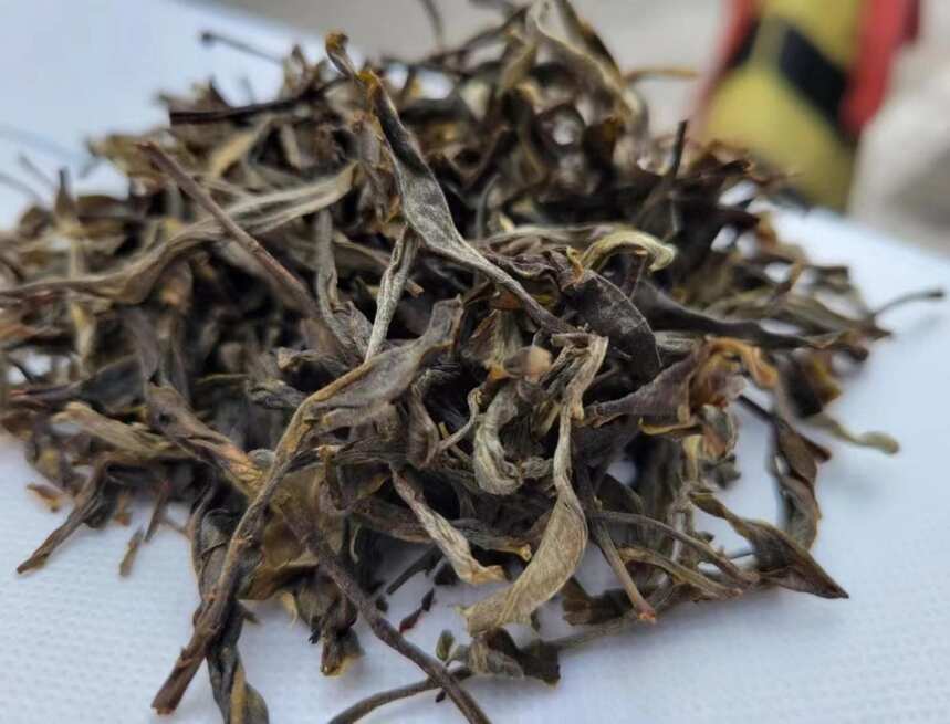 有人说：闻香识茶！当下，你会遇见什么样的普洱茶？