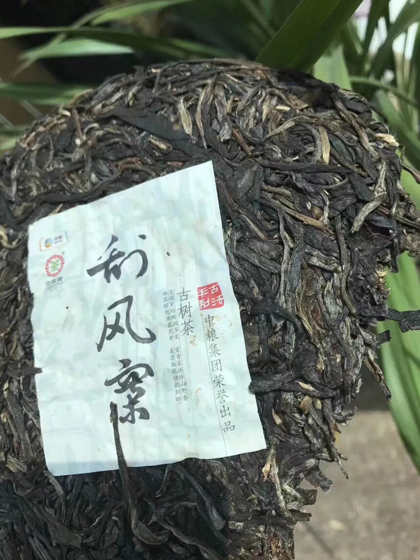 #普洱茶# 中茶2014年纯料刮风寨古树生茶#茶生活