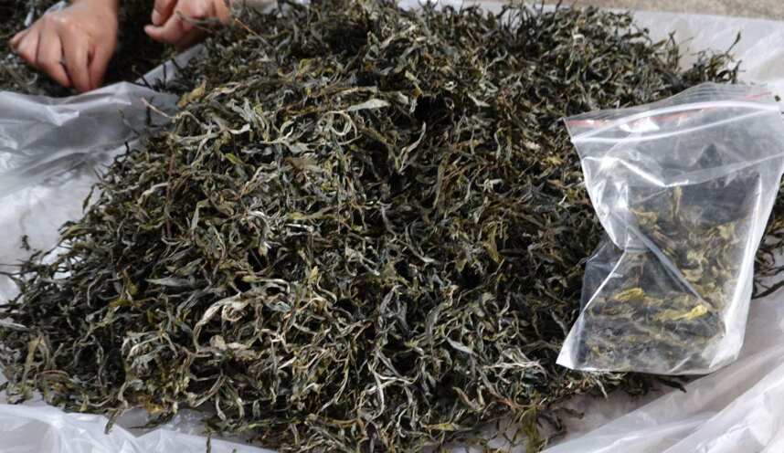 中国茶人的傲娇与落寞：遍地烂茶！老夫的茶才是好茶