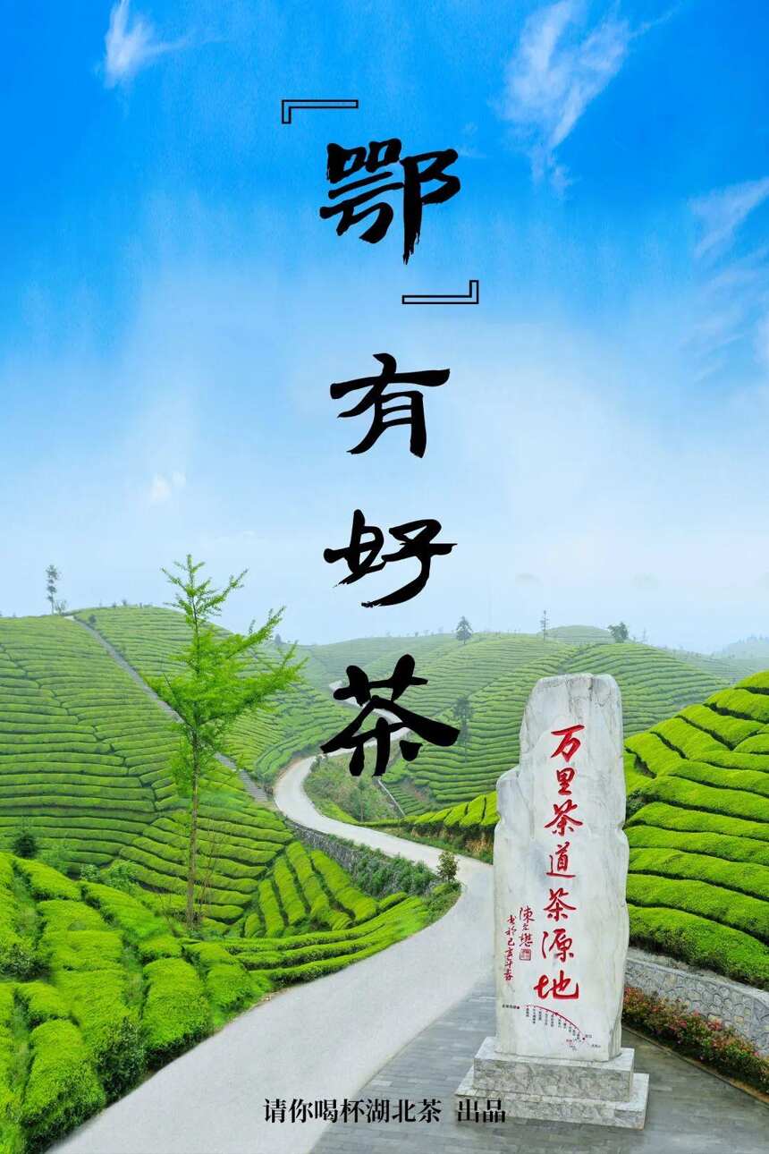 「建议收藏」这，就是湖北茶