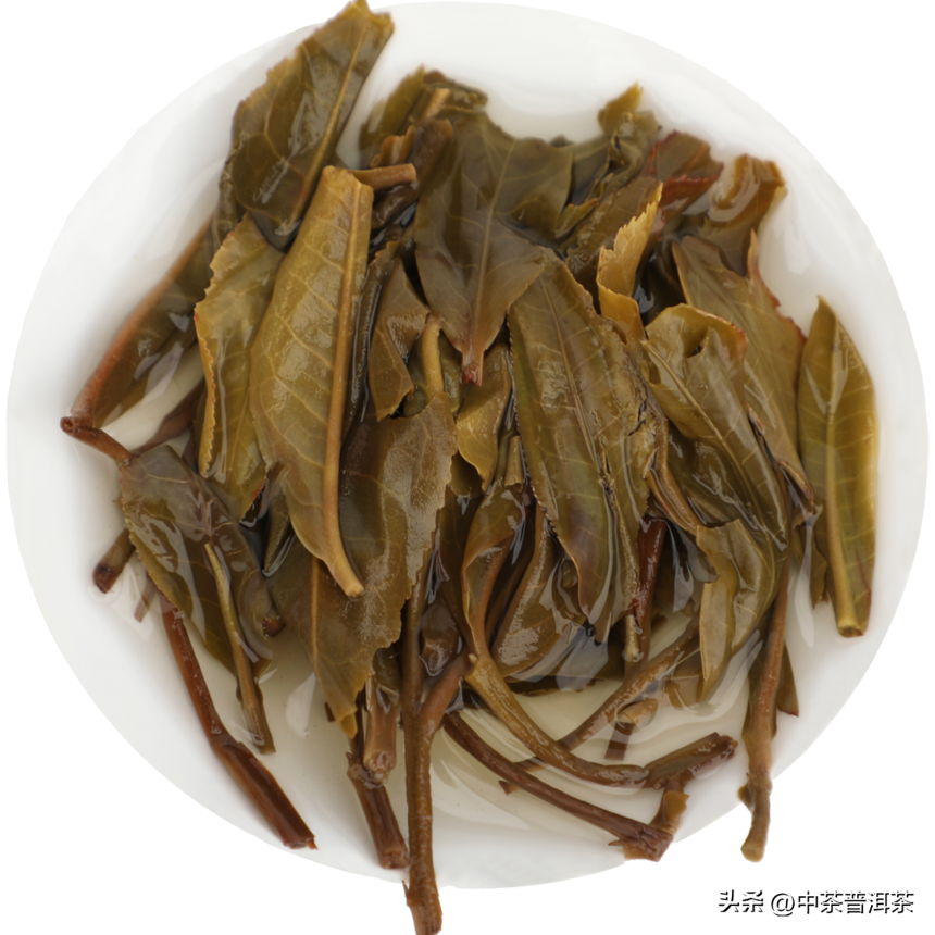 中茶新品 | 2022中茶茗山 一扇磨 普洱茶（生茶）紧压茶