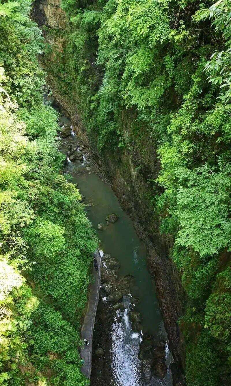 「建议收藏」这，就是湖北茶