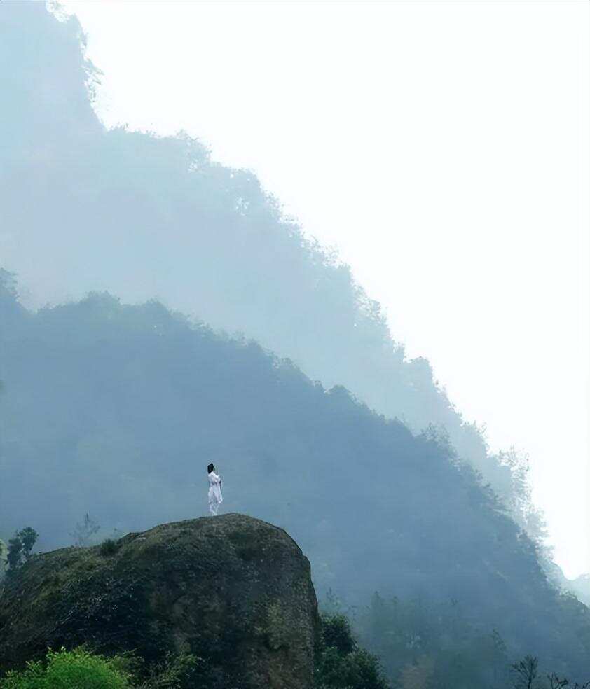 探索茶美学的理论体系：《论茶之美学》（上篇）