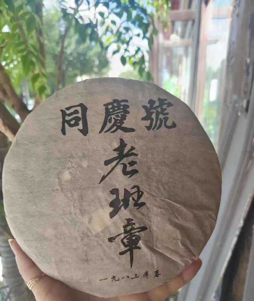 一杯茶里的小幸福 怎样辨别普洱茶老茶？