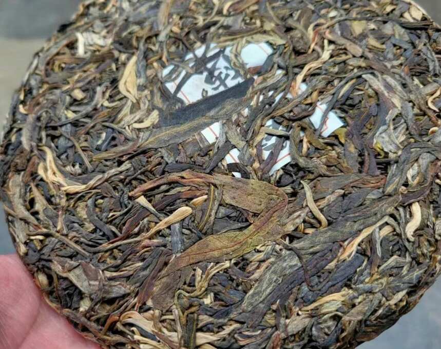 普洱茶中的冷知识你知道多少