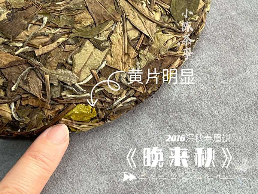 茶叶圈内zui香的4款白茶，堪称茶香之最，买茶照着选轻松买到好茶