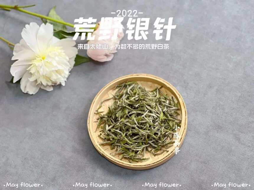 白毫银针茶汤颜色深，香味淡，是什么原因？多半是“它们”在作怪