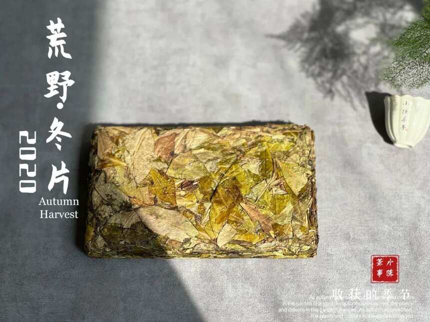 喝茶需要很专业吗？普通茶客喝茶，到底需要了解哪些干货？