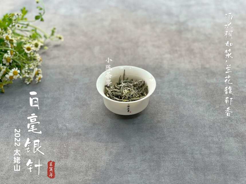 茶叶圈内zui香的4款白茶，堪称茶香之最，买茶照着选轻松买到好茶