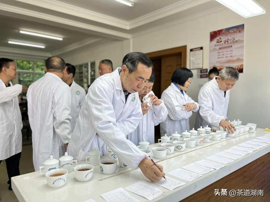 湖南红茶“十大制茶工匠”、“十大产品品牌”专家评审会举行