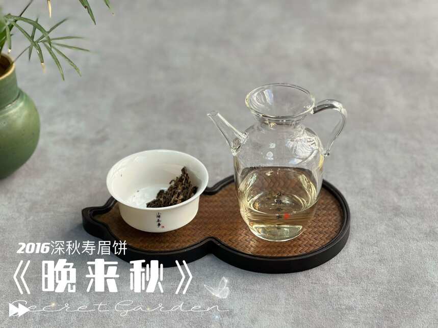 茶叶圈内zui香的4款白茶，堪称茶香之最，买茶照着选轻松买到好茶