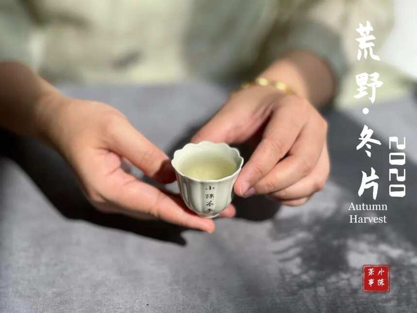 喝茶需要很专业吗？普通茶客喝茶，到底需要了解哪些干货？