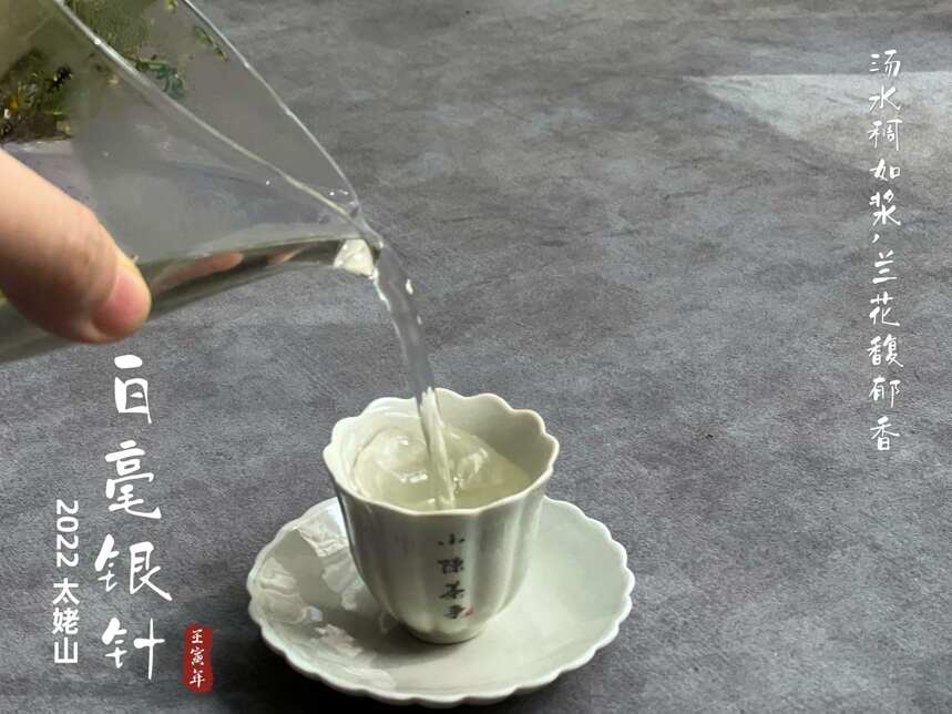 茶叶圈内zui香的4款白茶，堪称茶香之最，买茶照着选轻松买到好茶