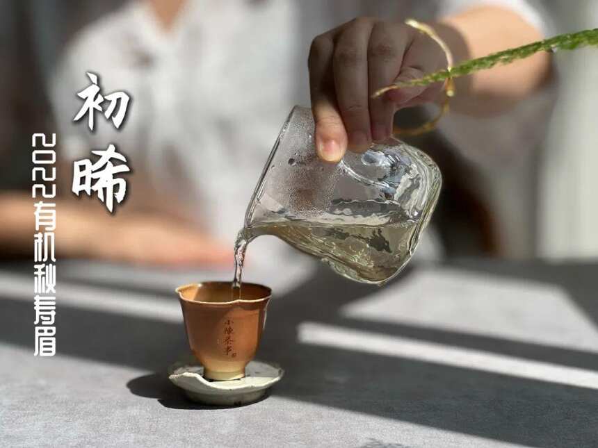 这就叫茶能力，凭一己之力几乎做遍了中国六大茶类，令人瞠目结舌