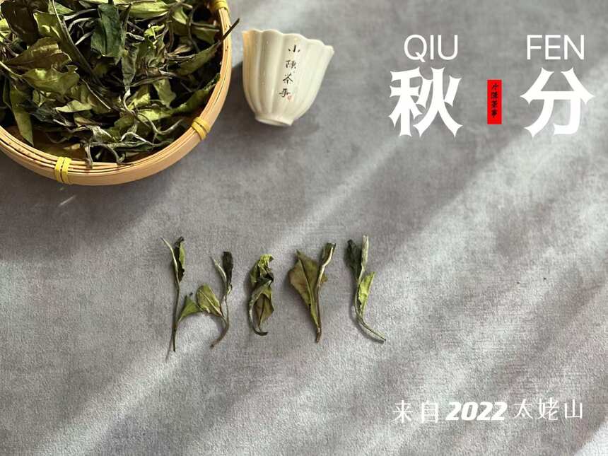 买白茶，怎么知道一款茶的性价比高不高？行家：看2点就够了