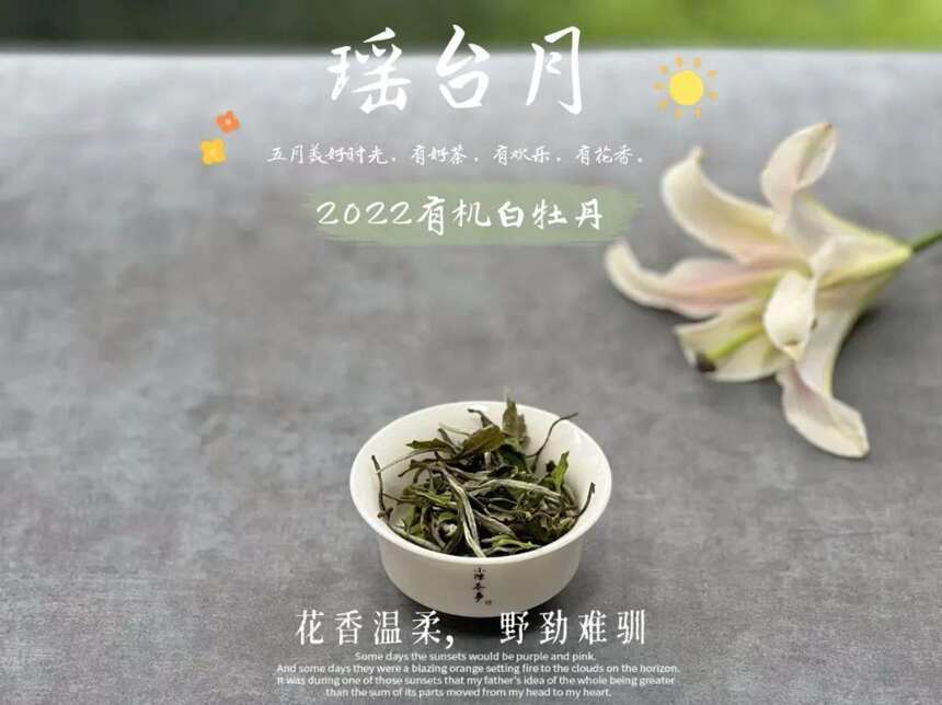 买白茶，怎么知道一款茶的性价比高不高？行家：看2点就够了