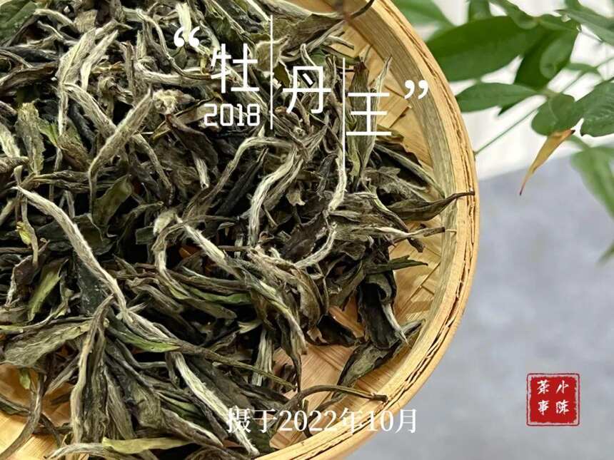 看到一条令人心酸的留言，关于荒野白茶的，一下子戳中村姑陈泪点