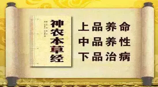 新会老陈皮为什么如此受人青睐呢？不妨来看看