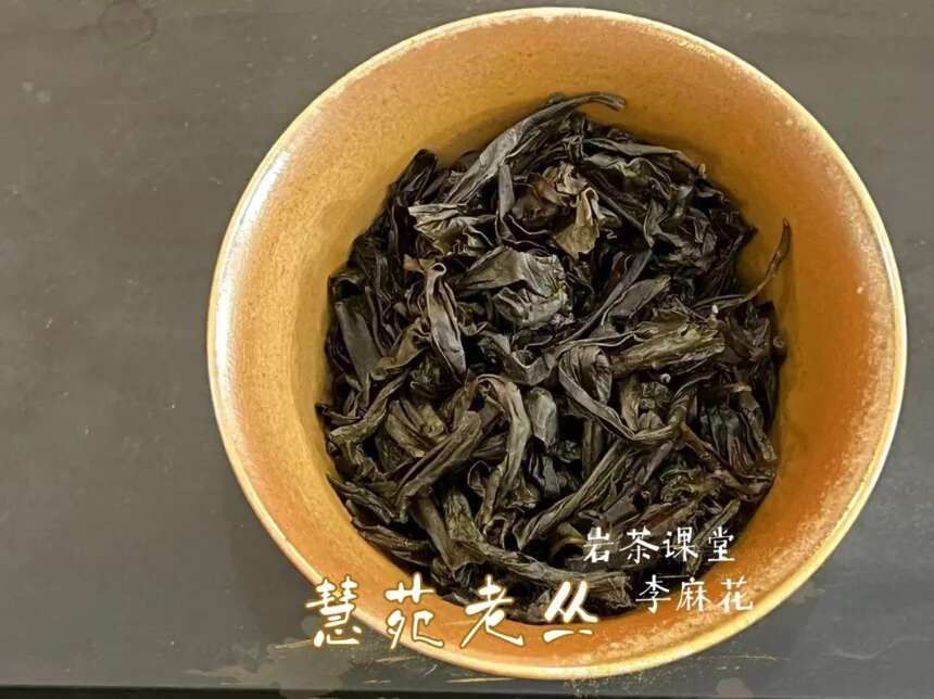 100多一泡的古井老丛，居然是假的？古井老丛到底是款什么岩茶？