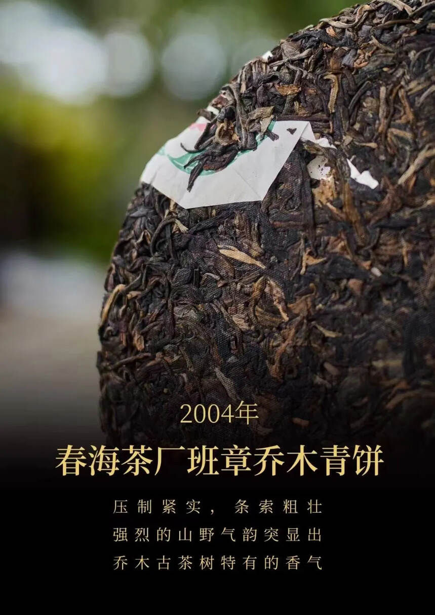 2004年春海班章·乔木野生青饼烟香浓厚回甘持久，冰