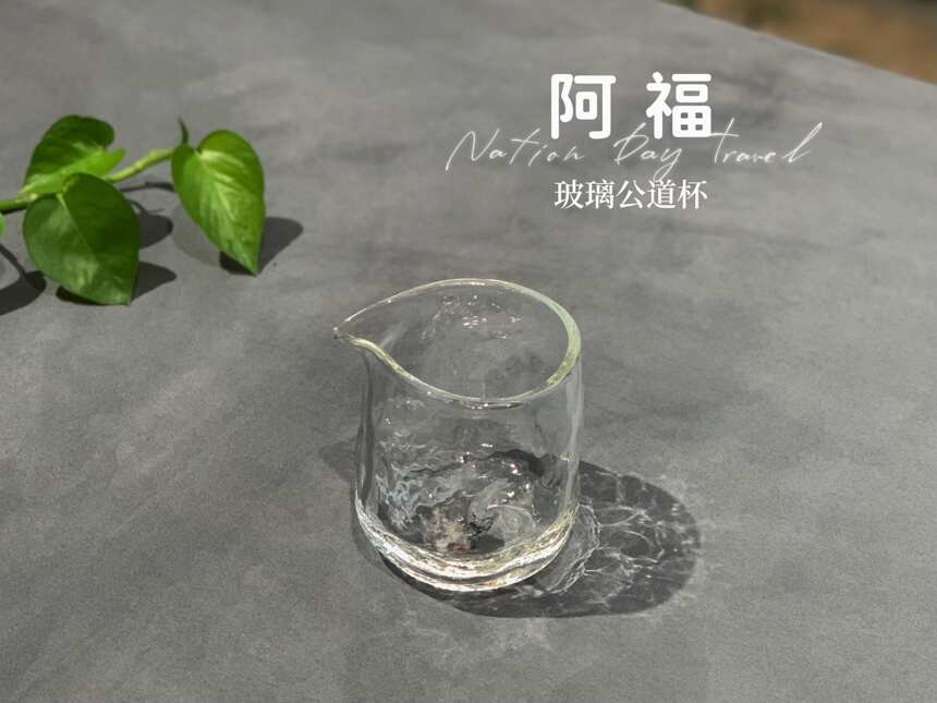 泡绿茶、白茶、红茶、普洱茶，都用得着的5个茶具，真的很好用