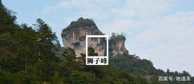 好“硬气”的山场——狮子峰