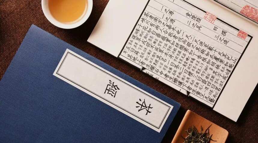 一定要懂茶才能喝茶吗？