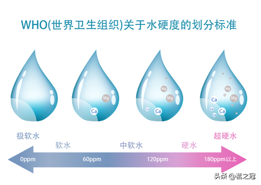 好茶用好水，注意这几点，你的茶比别人好喝无数倍