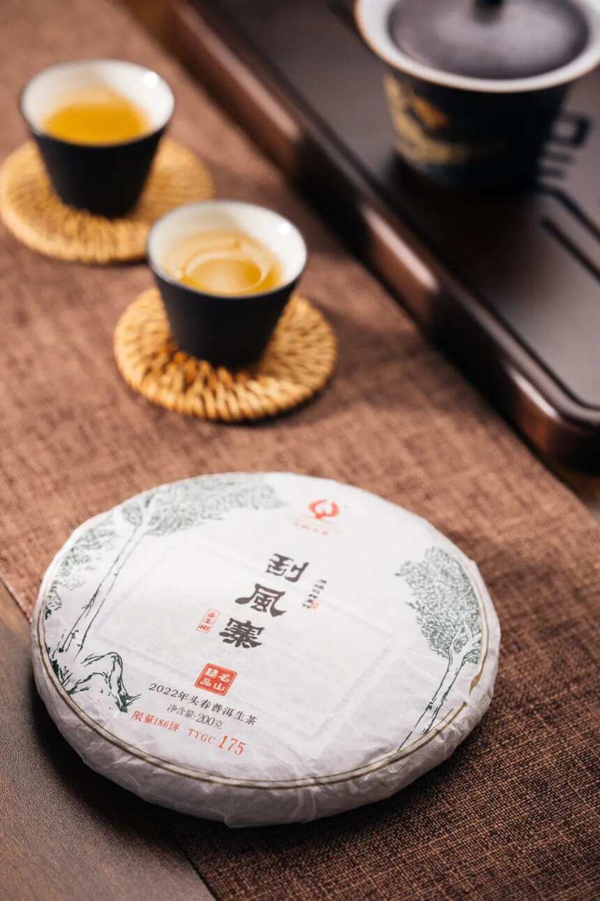 云南普洱山头茶 | 爱茶人心间的普洱圣地——刮风寨