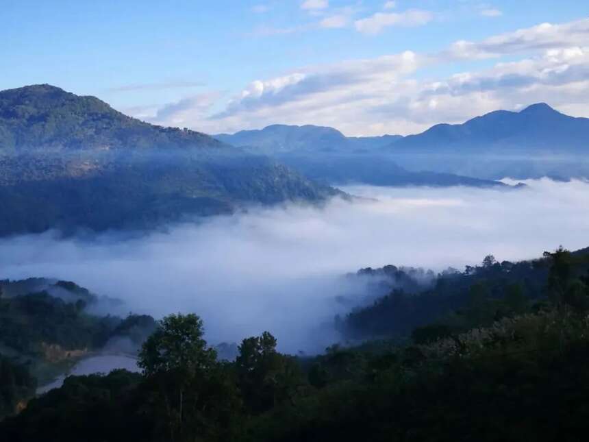 云南普洱山头茶 | 爱茶人心间的普洱圣地——刮风寨