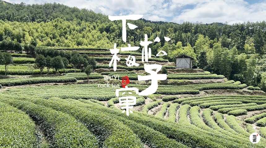 夏日限定 | 在「松子窠」遇见岩茶