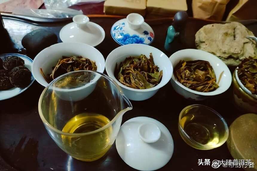 喝茶也身不由已｜行者品茶(337)