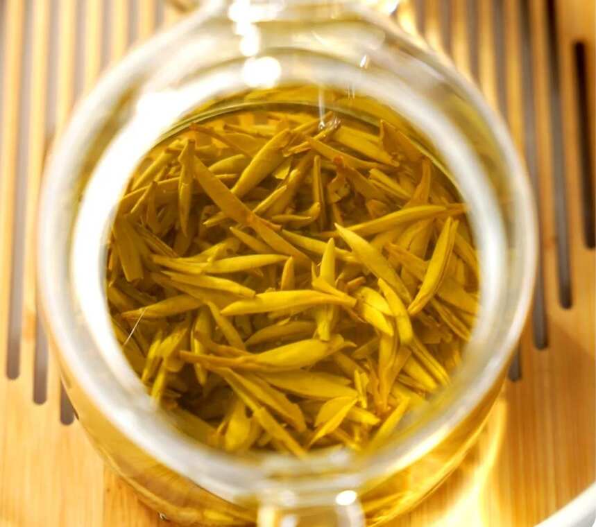 福州八窨茉莉花茶甜不甜？口良2022茉莉针王评测