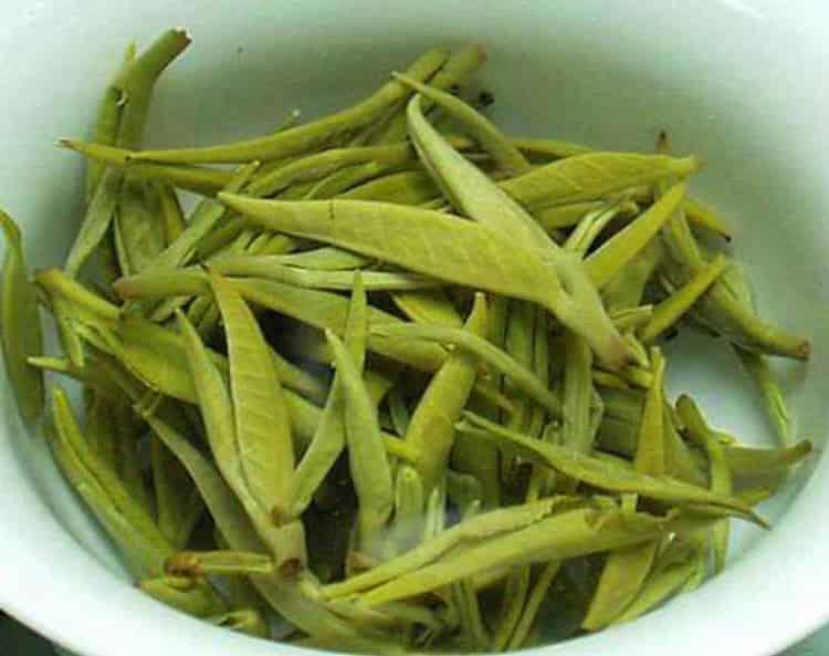 广西名茶——凌云白毛茶