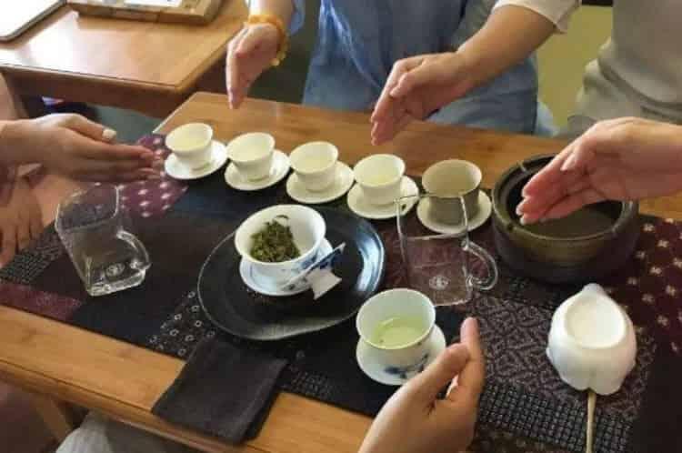 茶道入门茶道基本知识_关于茶道的知识