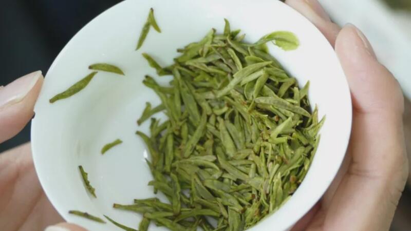 黄茶属于什么茶