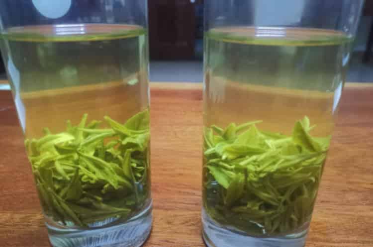 这个季节哪种茶上市_新茶上市时间