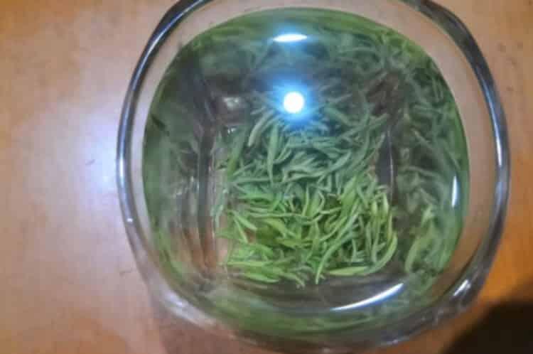 狗牯脑茶7000块钱一斤_狗牯脑茶叶价格表