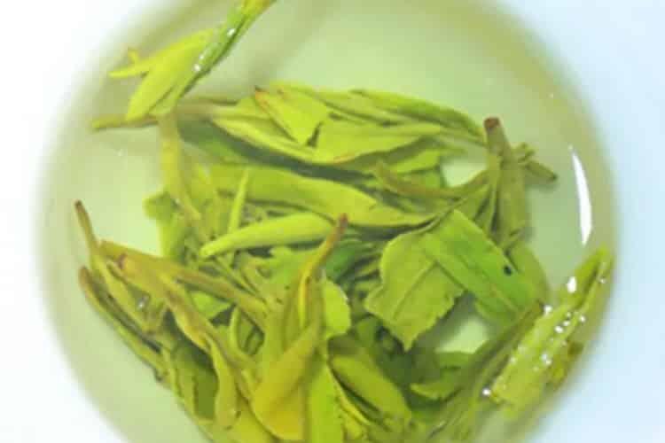 西湖龙井属于什么茶类_西湖龙井属于哪个茶叶种类?